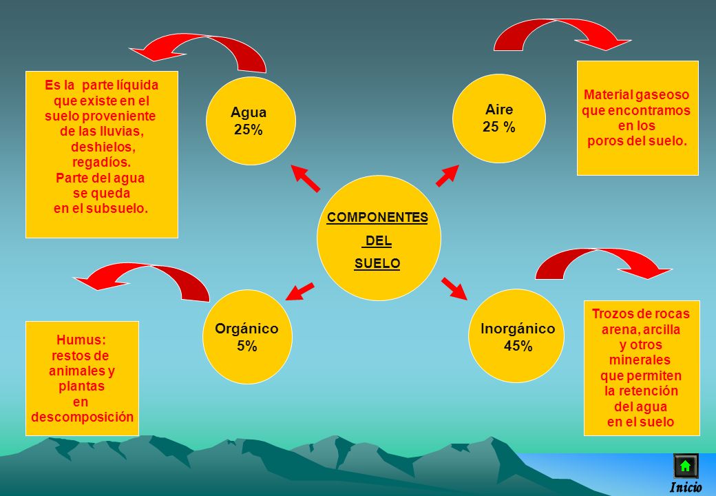 Agua 25% Aire 25 % Orgánico 5% Inorgánico 45%
