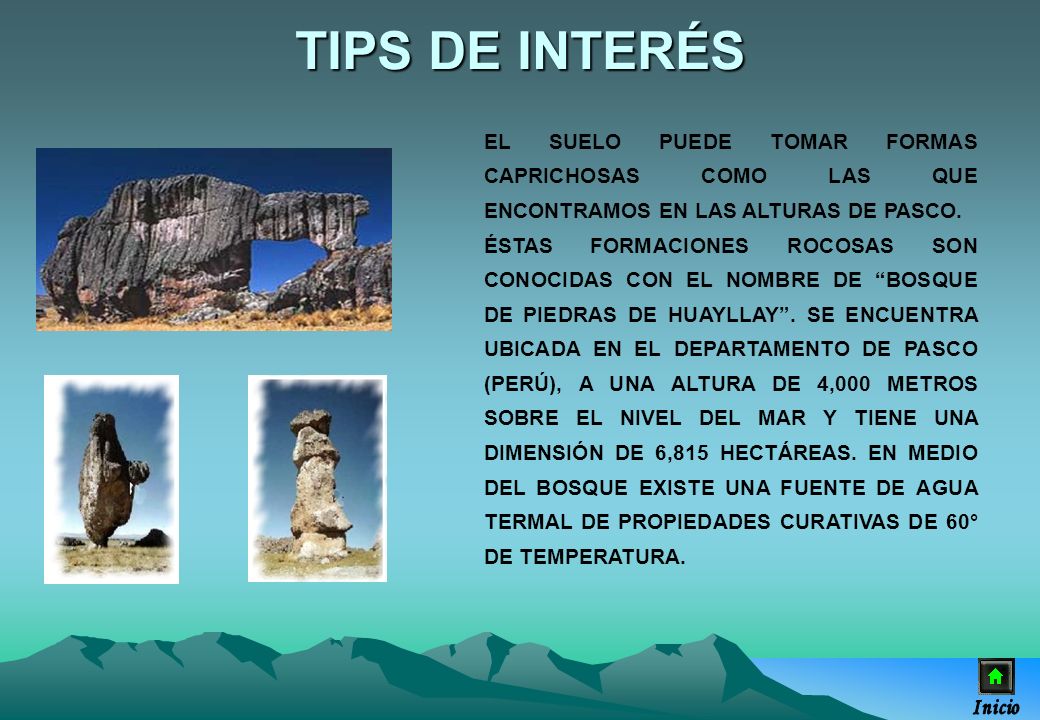 TIPS DE INTERÉS EL SUELO PUEDE TOMAR FORMAS CAPRICHOSAS COMO LAS QUE ENCONTRAMOS EN LAS ALTURAS DE PASCO.