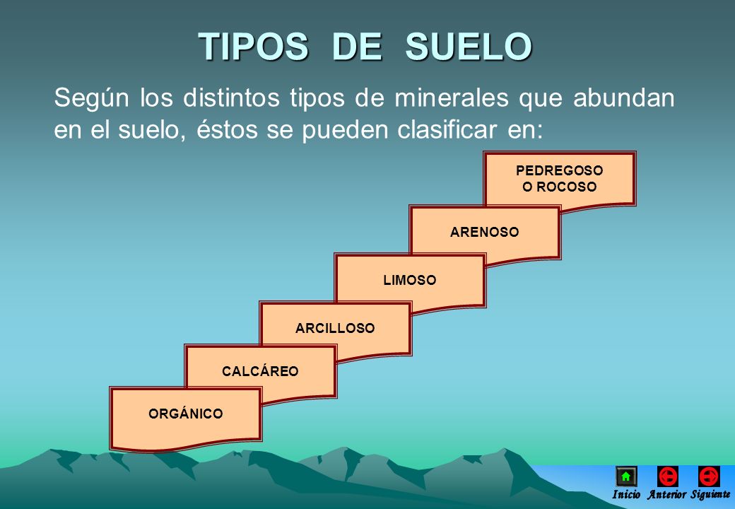 TIPOS DE SUELO Según los distintos tipos de minerales que abundan en el suelo, éstos se pueden clasificar en: