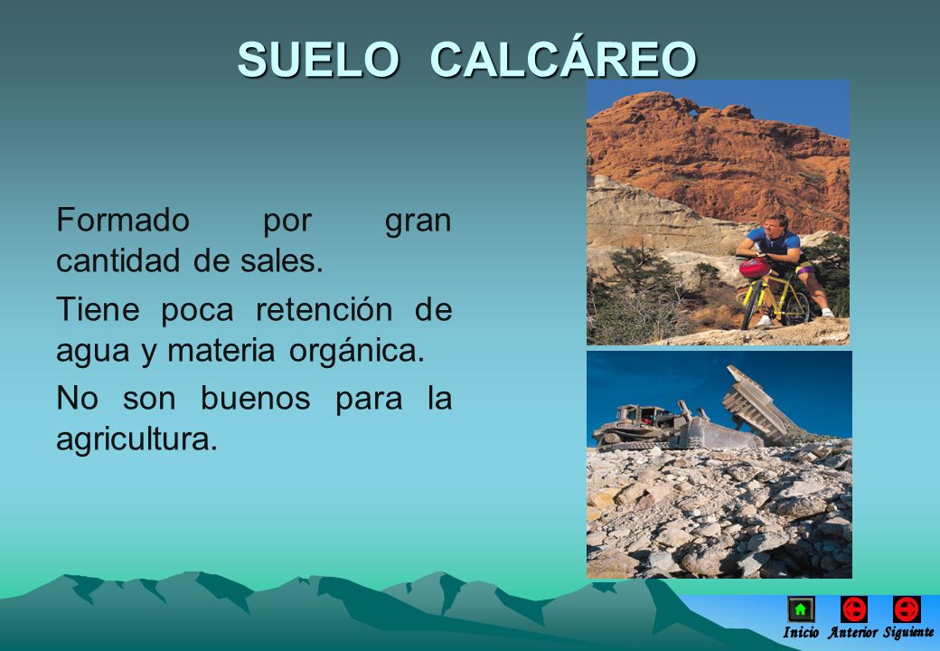 SUELO CALCÁREO Formado por gran cantidad de sales.
