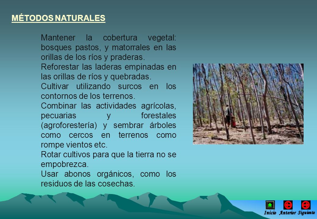 Reforestar las laderas empinadas en las orillas de ríos y quebradas.
