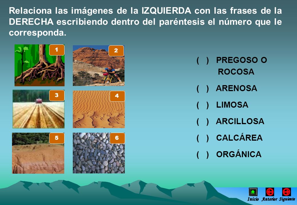 Relaciona las imágenes de la IZQUIERDA con las frases de la DERECHA escribiendo dentro del paréntesis el número que le corresponda.
