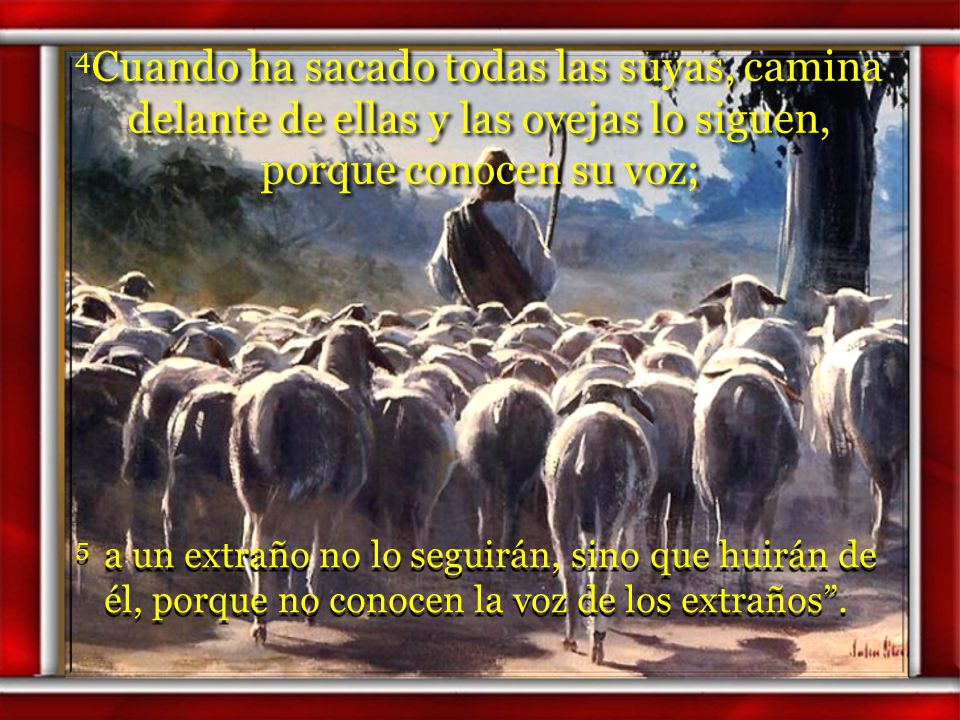 4Cuando ha sacado todas las suyas, camina delante de ellas y las ovejas lo siguen, porque conocen su voz;