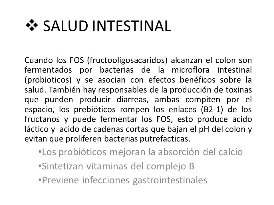 SALUD INTESTINAL Los probióticos mejoran la absorción del calcio