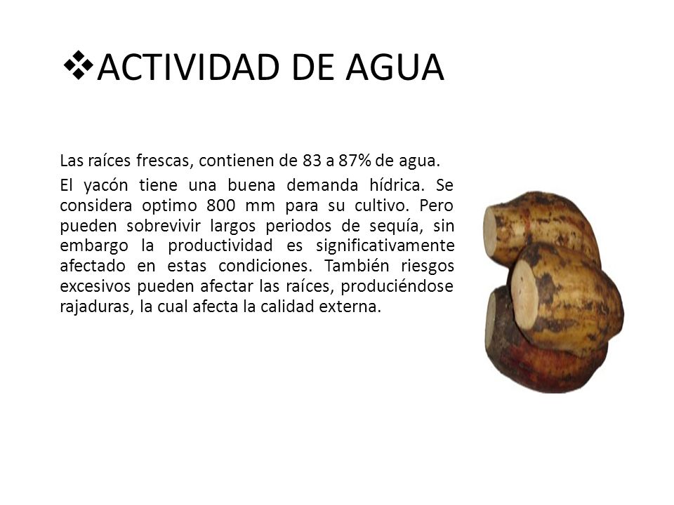 ACTIVIDAD DE AGUA Las raíces frescas, contienen de 83 a 87% de agua.