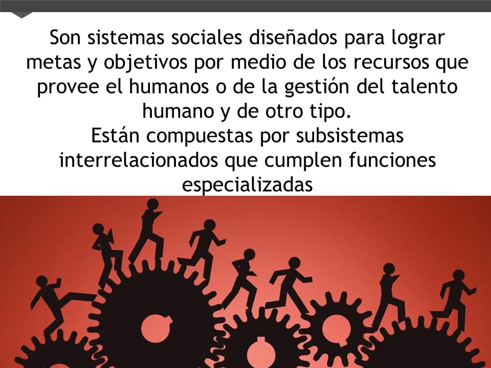 Son sistemas sociales diseñados para lograr metas y objetivos por medio de los recursos que provee el humanos o de la gestión del talento humano y de otro tipo.