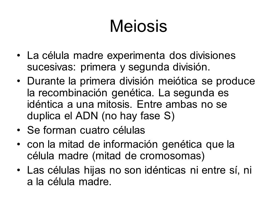 Meiosis La célula madre experimenta dos divisiones sucesivas: primera y segunda división.