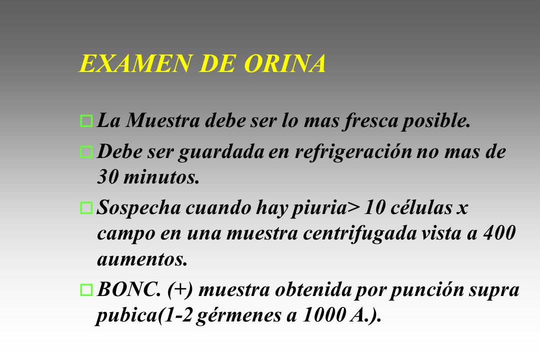 EXAMEN DE ORINA La Muestra debe ser lo mas fresca posible.