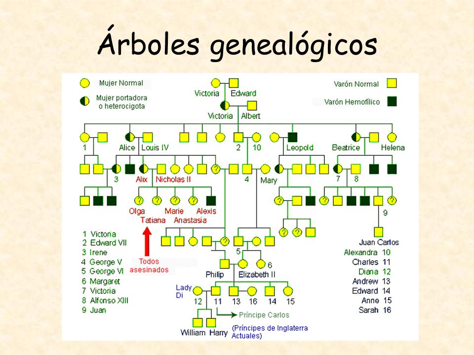 Árboles genealógicos