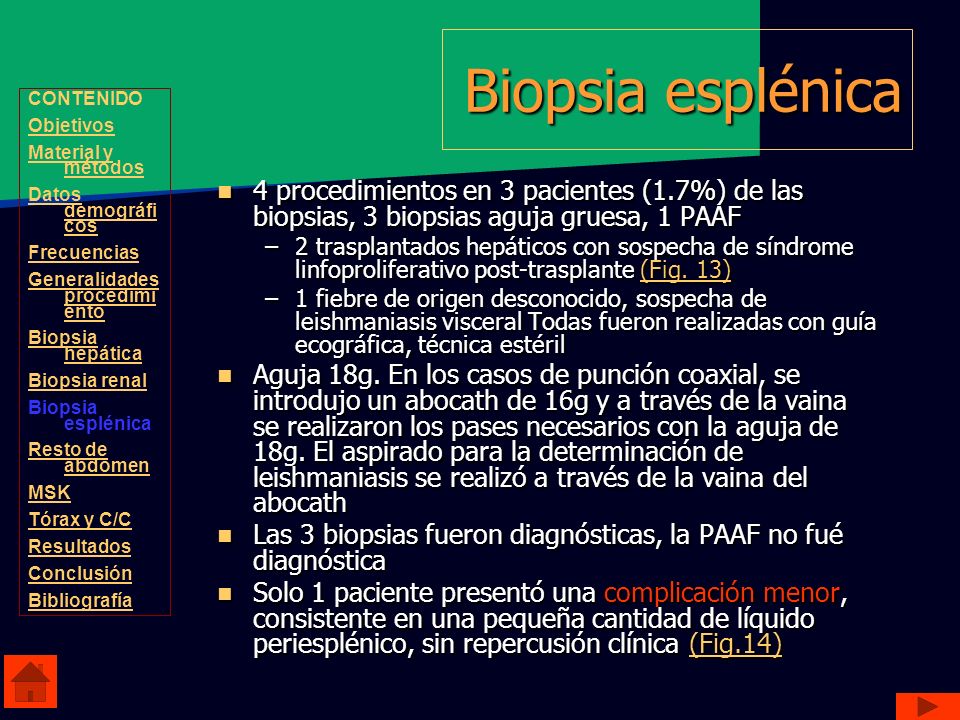 Biopsia esplénica CONTENIDO. Objetivos. Material y métodos. Datos demográficos. Frecuencias. Generalidades procedimiento.