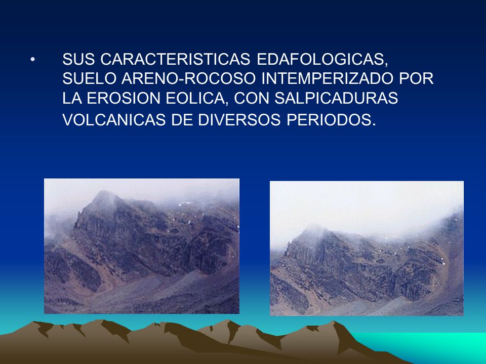 SUS CARACTERISTICAS EDAFOLOGICAS, SUELO ARENO-ROCOSO INTEMPERIZADO POR LA EROSION EOLICA, CON SALPICADURAS VOLCANICAS DE DIVERSOS PERIODOS.