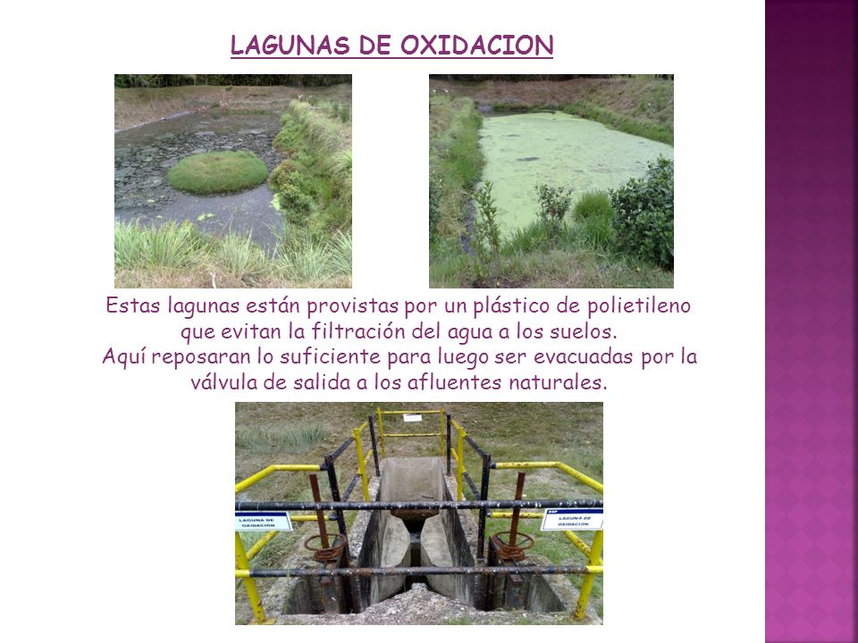 LAGUNAS DE OXIDACION Estas lagunas están provistas por un plástico de polietileno que evitan la filtración del agua a los suelos.