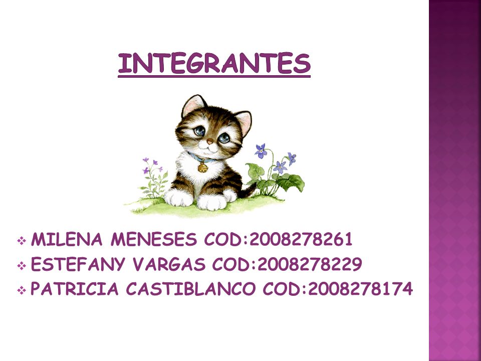 INTEGRANTES MILENA MENESES COD: