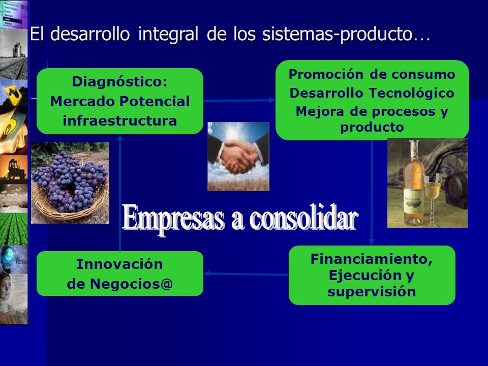 Empresas a consolidar El desarrollo integral de los sistemas-producto…