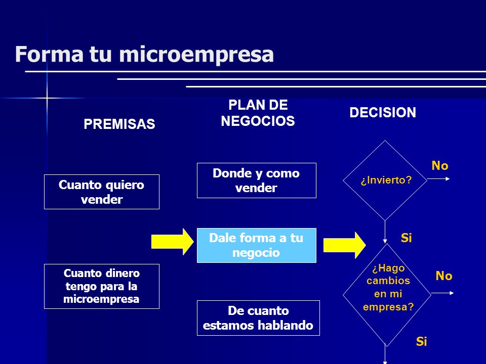 Forma tu microempresa PLAN DE NEGOCIOS DECISION PREMISAS No