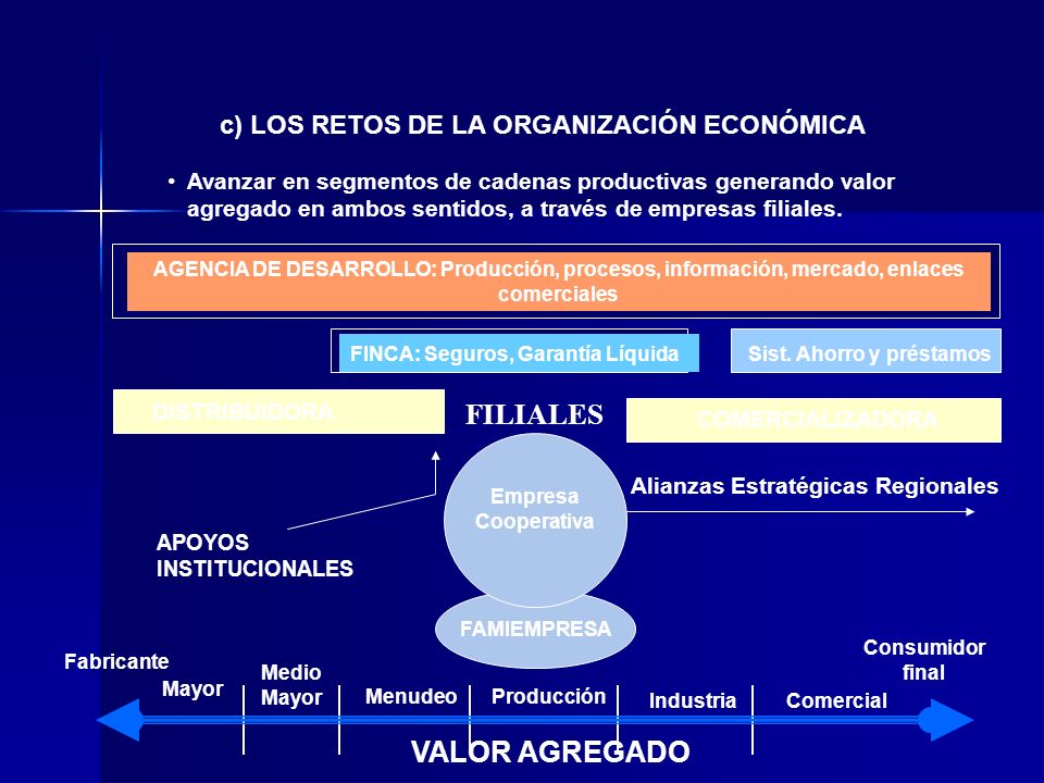 FILIALES VALOR AGREGADO c) LOS RETOS DE LA ORGANIZACIÓN ECONÓMICA