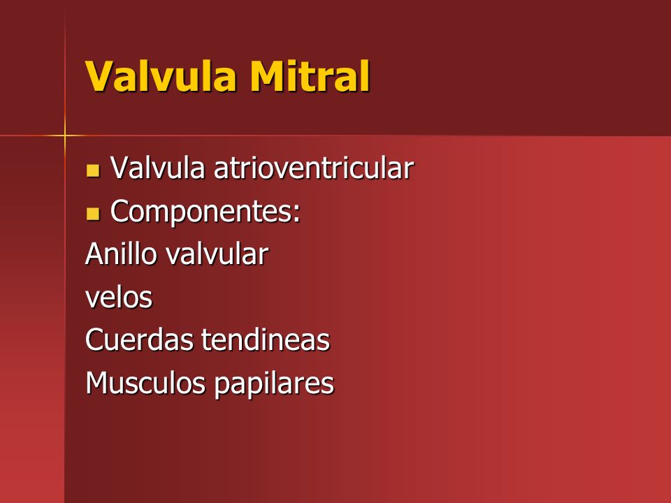 Valvula Mitral Valvula atrioventricular Componentes: Anillo valvular