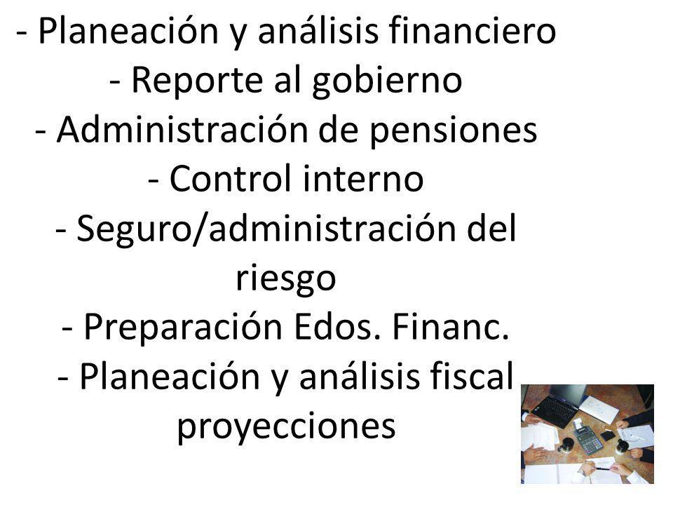 - Planeación y análisis financiero - Reporte al gobierno - Administración de pensiones - Control interno - Seguro/administración del riesgo - Preparación Edos.