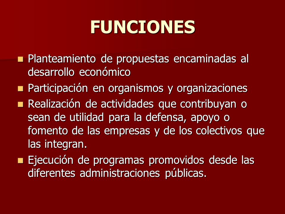 FUNCIONES Planteamiento de propuestas encaminadas al desarrollo económico. Participación en organismos y organizaciones.