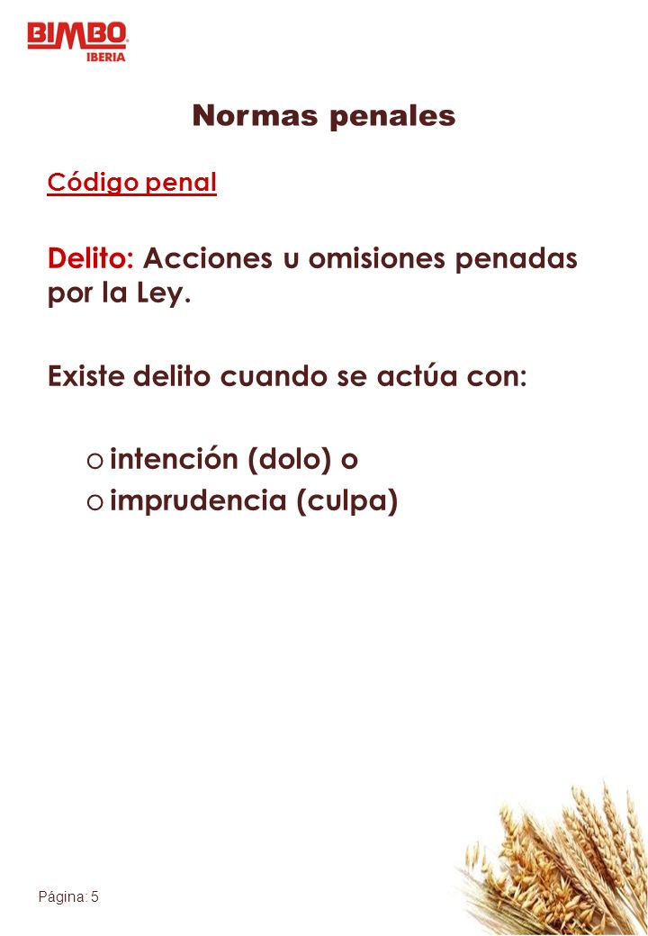 Normas penales Delito: Acciones u omisiones penadas por la Ley.