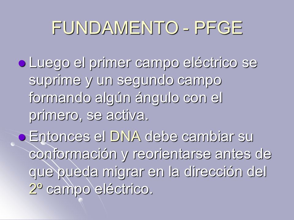 FUNDAMENTO - PFGE Luego el primer campo eléctrico se suprime y un segundo campo formando algún ángulo con el primero, se activa.