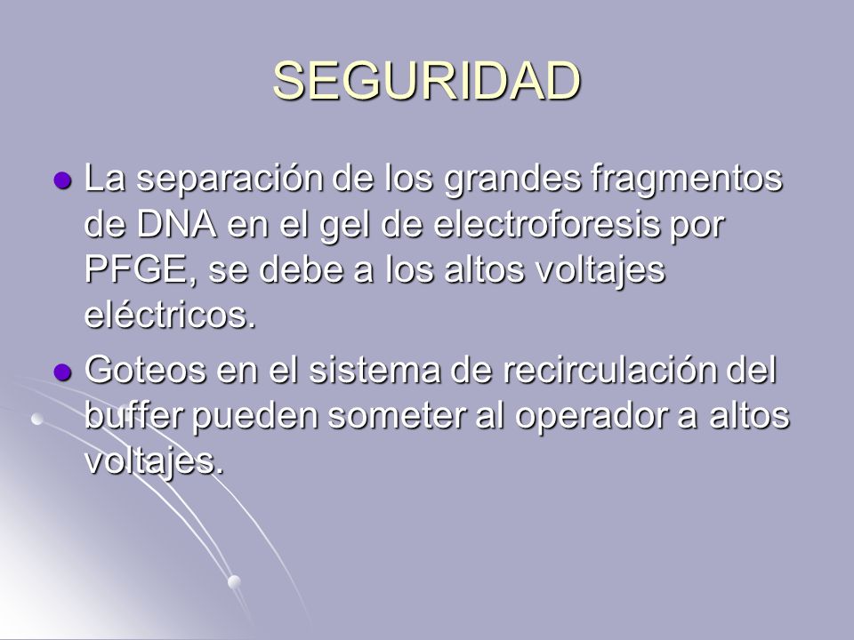 SEGURIDAD La separación de los grandes fragmentos de DNA en el gel de electroforesis por PFGE, se debe a los altos voltajes eléctricos.