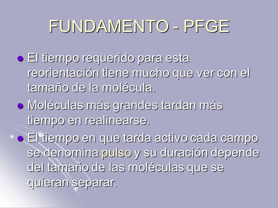FUNDAMENTO - PFGE El tiempo requerido para esta reorientación tiene mucho que ver con el tamaño de la molécula.