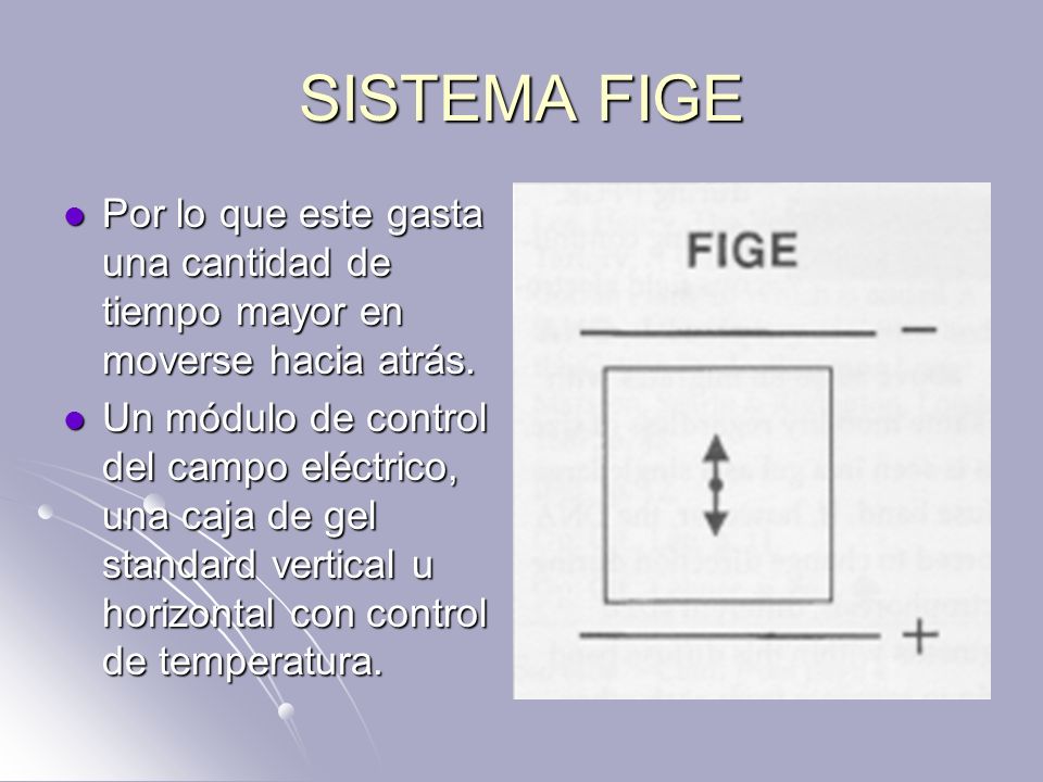 SISTEMA FIGE Por lo que este gasta una cantidad de tiempo mayor en moverse hacia atrás.