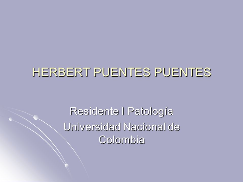 HERBERT PUENTES PUENTES