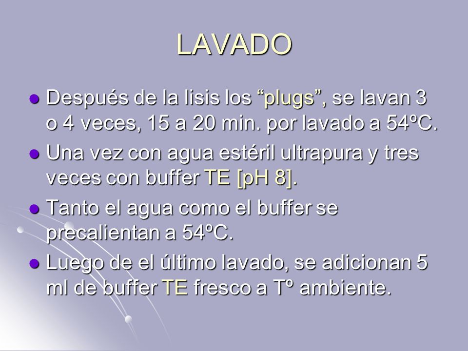 LAVADO Después de la lisis los plugs , se lavan 3 o 4 veces, 15 a 20 min. por lavado a 54ºC.