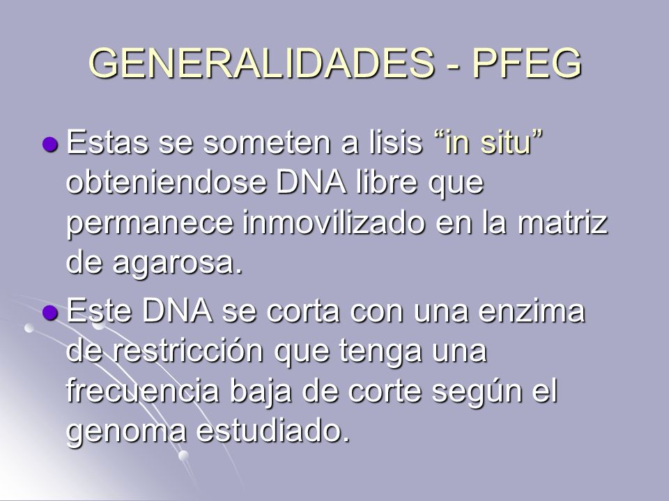GENERALIDADES - PFEG Estas se someten a lisis in situ obteniendose DNA libre que permanece inmovilizado en la matriz de agarosa.