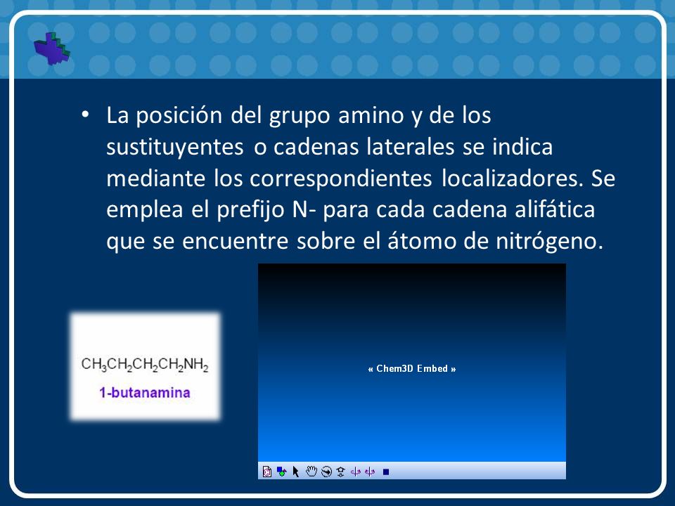 La posición del grupo amino y de los sustituyentes o cadenas laterales se indica mediante los correspondientes localizadores.