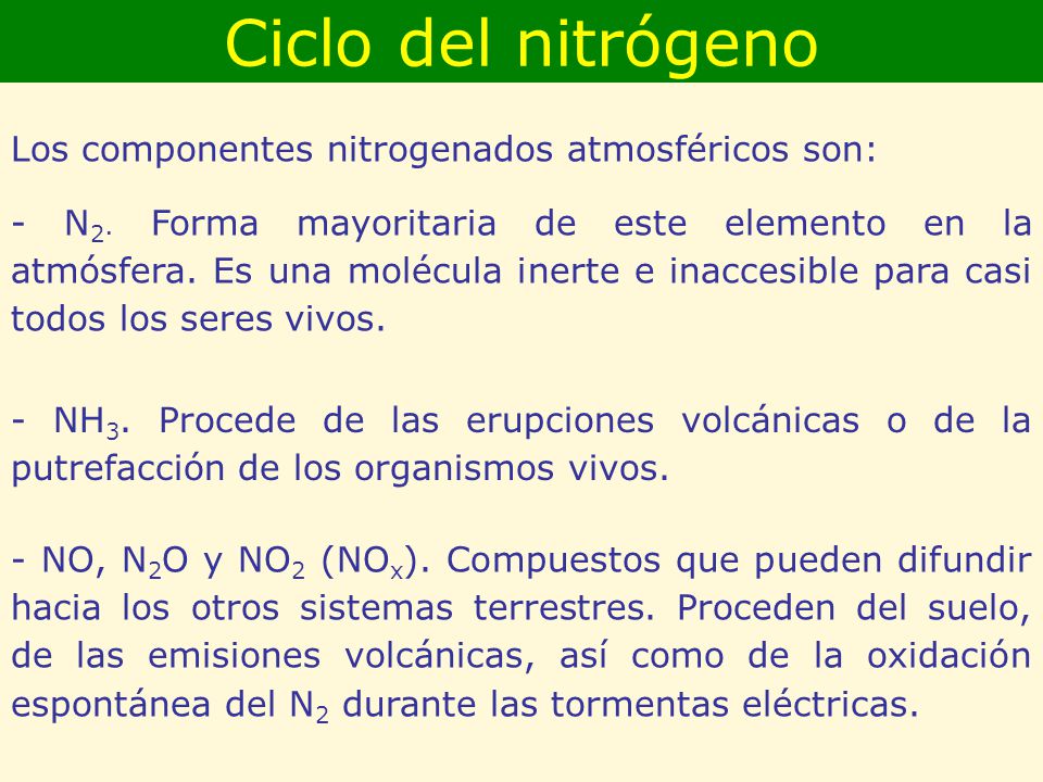 Ciclo del nitrógeno Los componentes nitrogenados atmosféricos son: