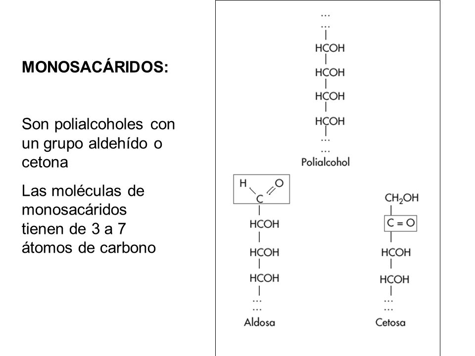 MONOSACÁRIDOS: Son polialcoholes con un grupo aldehído o cetona.