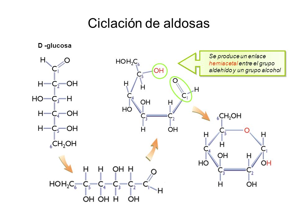 Ciclación de aldosas D -glucosa
