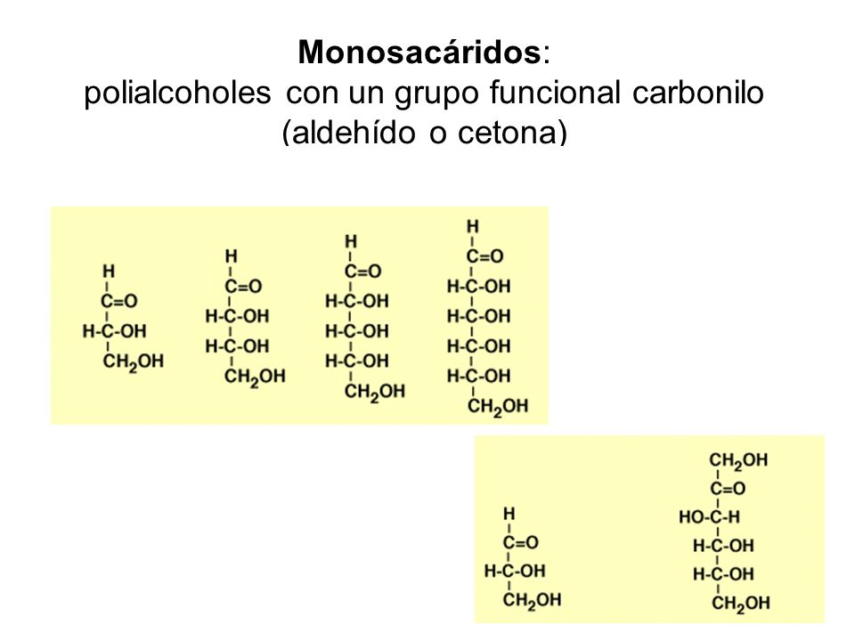 Monosacáridos: polialcoholes con un grupo funcional carbonilo (aldehído o cetona)