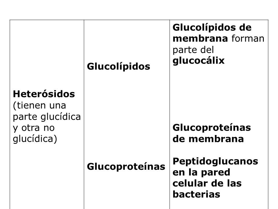 Heterósidos (tienen una parte glucídica y otra no glucídica) Glucolípidos. Glucoproteínas. Glucolípidos de membrana forman parte del glucocálix.