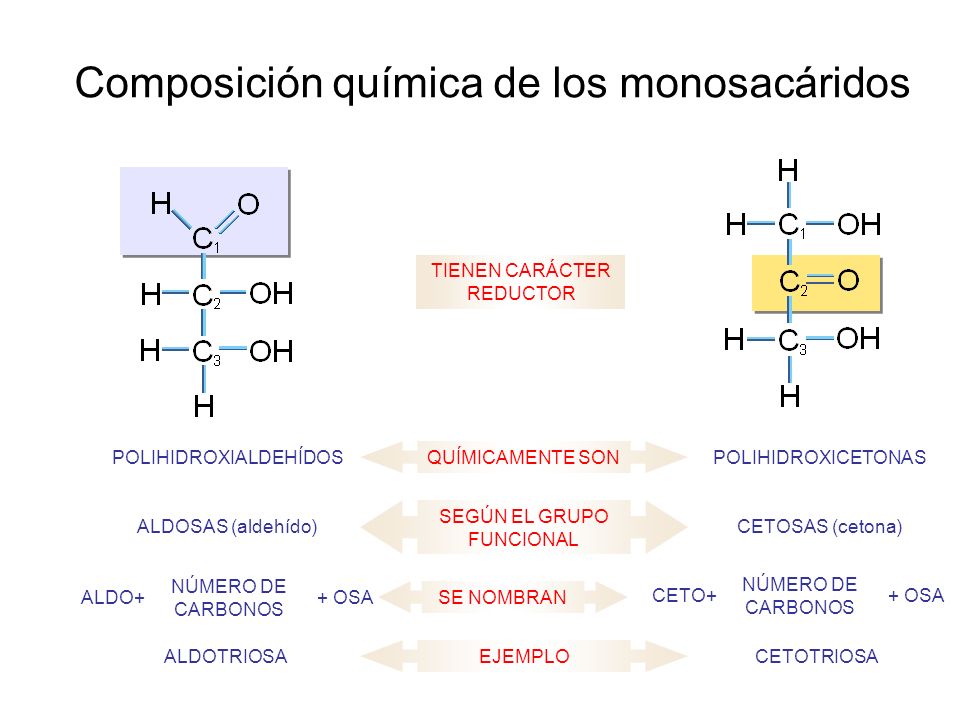 Composición química de los monosacáridos
