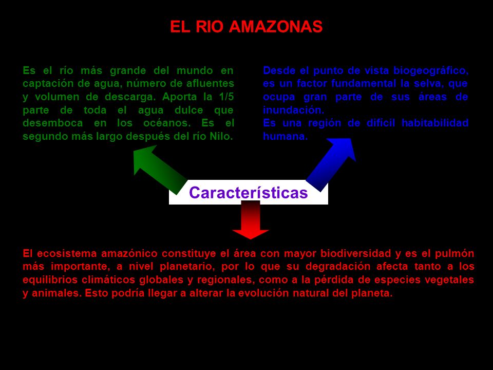 EL RIO AMAZONAS Características
