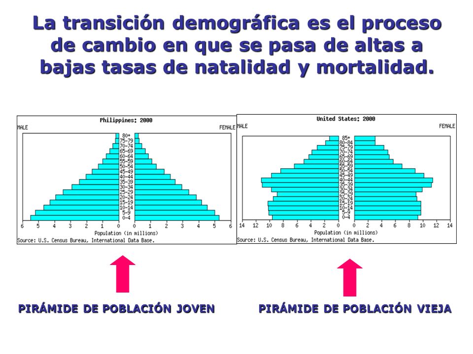 La transición demográfica es el proceso de cambio en que se pasa de altas a bajas tasas de natalidad y mortalidad.