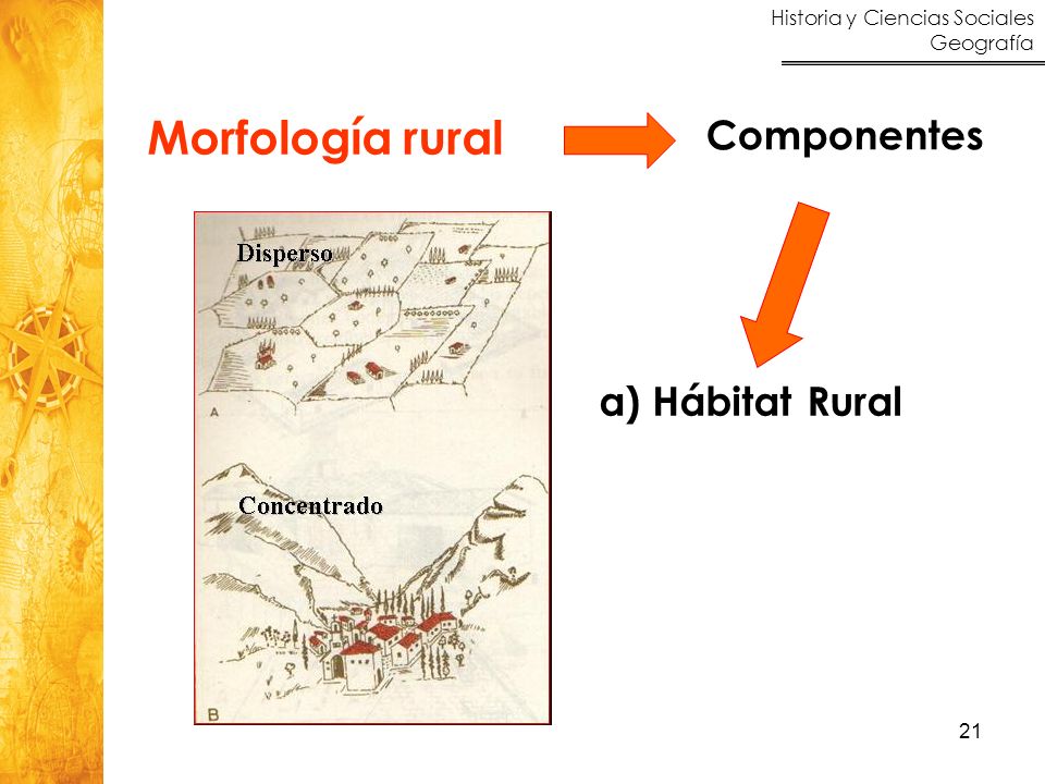 Morfología rural Componentes Hábitat Rural