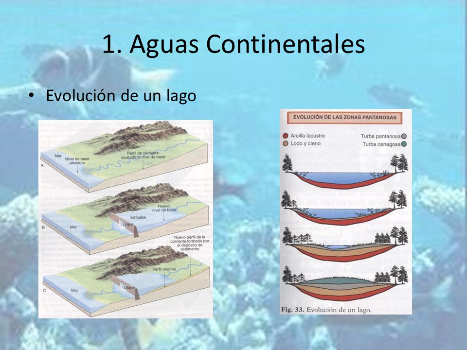 1. Aguas Continentales Evolución de un lago