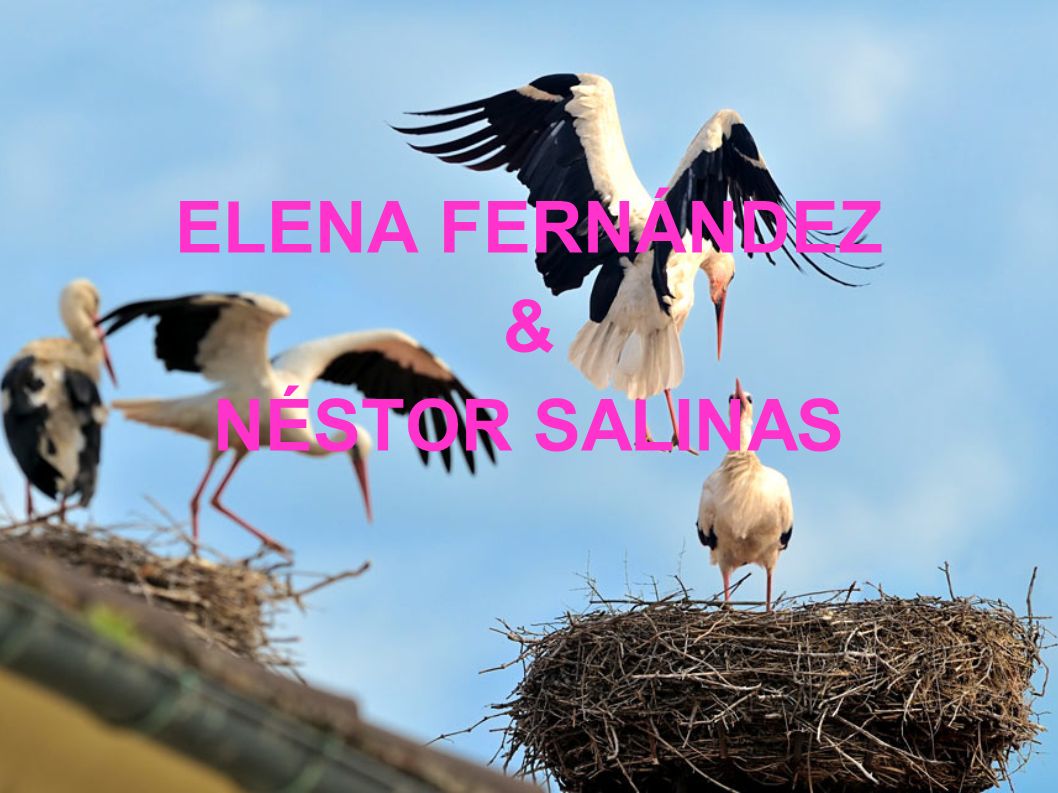 ELENA FERNÁNDEZ & NÉSTOR SALINAS