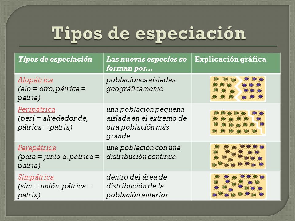 Tipos de especiación Tipos de especiación