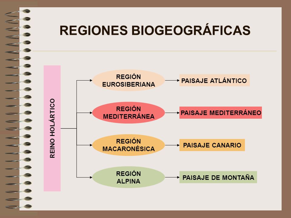 REGIONES BIOGEOGRÁFICAS