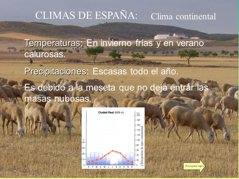 CLIMAS DE ESPAÑA: Clima continental