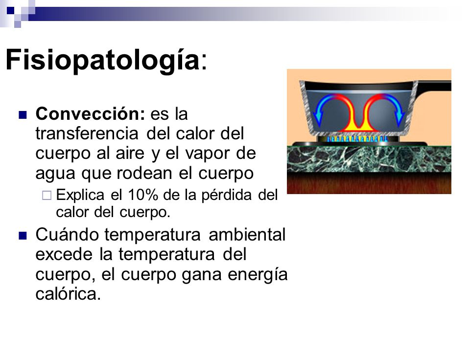 Fisiopatología: Convección: es la transferencia del calor del cuerpo al aire y el vapor de agua que rodean el cuerpo.