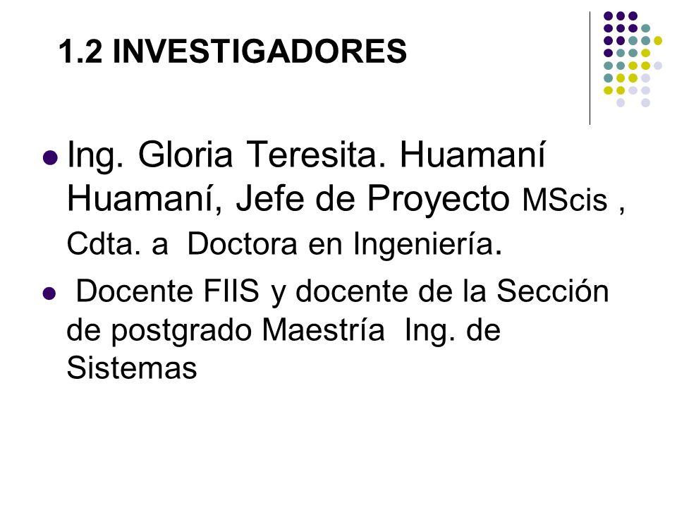 1.2 INVESTIGADORES Ing. Gloria Teresita. Huamaní Huamaní, Jefe de Proyecto MScis , Cdta. a Doctora en Ingeniería.