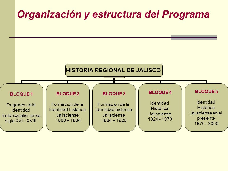 Organización y estructura del Programa