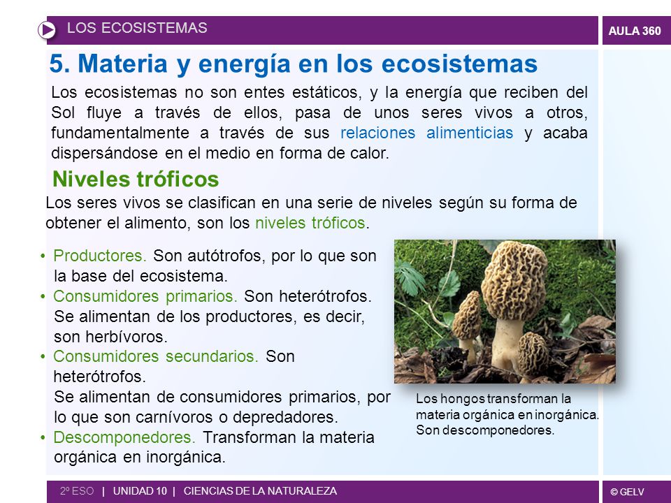 5. Materia y energía en los ecosistemas